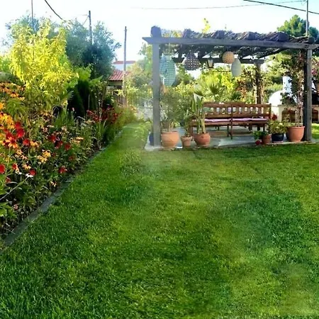 Maddie's Place *